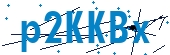 recaptcha
