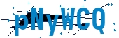 recaptcha