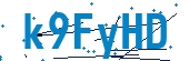 recaptcha