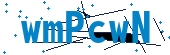 recaptcha